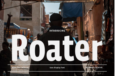 Roater Display Sans Font