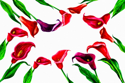 Watercolor Calla Lily Clipart pack, Colorful Callas Zante Deschia Flow
