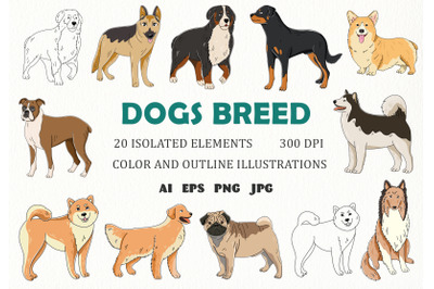 Dogs breed cartoon clipart illustrations. Hand Painted Animal Set.