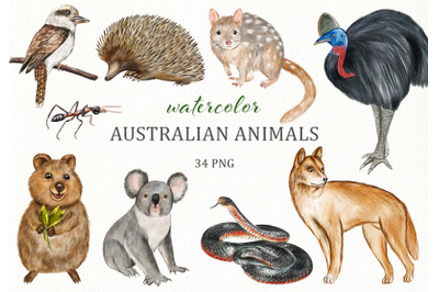 Watercolor Australian Animals Clipart. Hand Painted Animal Set.