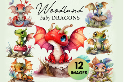 12 Cute Woodland Dragon Babies (12 Graphic Clip Art) Illustration Inst