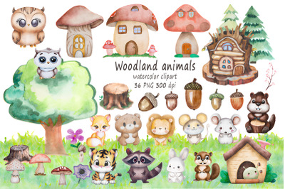 Woodland Animal watercolor Clipart Set PNG