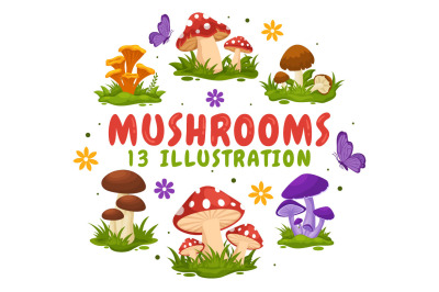 13 Mushrooms Design Illustration