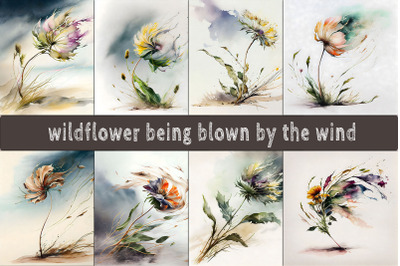 Wildflower Being Blown By The Wind