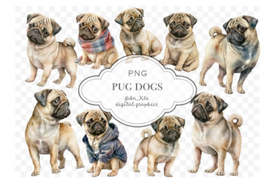 Pug dogs clipart