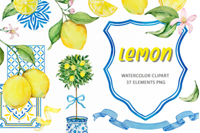 Watercolor lemon clipart