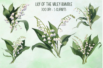 Lily Of The Valey Flower Bundle