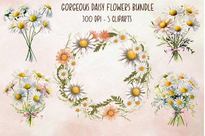 Gorgeous Daisy Flowers Bundle