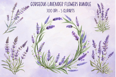 Gorgeous Lavender Flowers Bundle