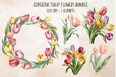 Gorgeous Tulip Flowers Bundle