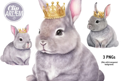 Princess Bunny Clip Art  3 PNG Rabbit Iimages Bundle