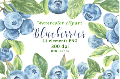 Watercolor Blueberries and Leaves Clipart PNG JPE
