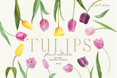 Blooming tulips flowers PNG