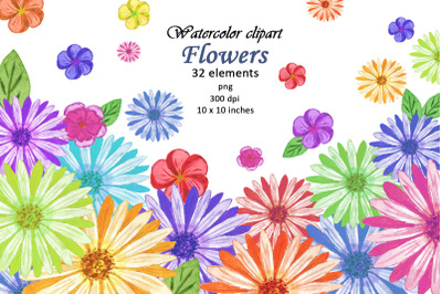 Watercolor Flowers Chamomile Summer Clipart PNG