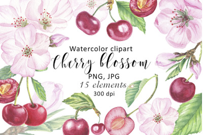 Watercolor Clipart Cherry Flower Blossom, fruit illustration