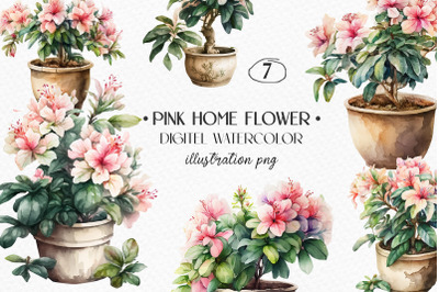 Watercolor home blooming flowers in a pot, pink azalea blooms, home fl