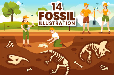 14 Fossil Dinosaurs Skeletons Illustration