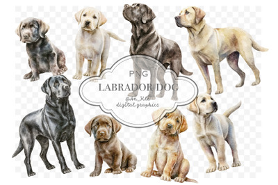 Labrador dogs clipart