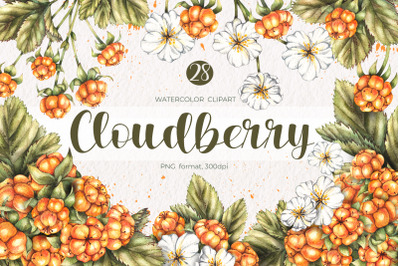 Watercolor cloudberry / Watercolor clipart PNG
