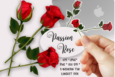 Red Rose Flowers png Cliparts stickers