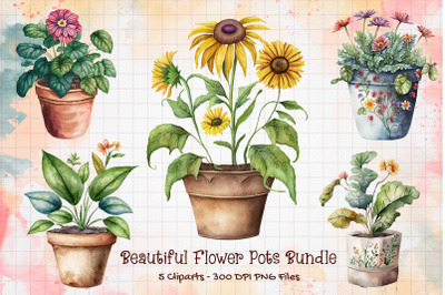 Beautiful Flower Pots Bundle