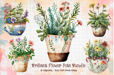 Brilliant Flower Pots Bundle