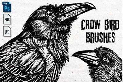 Crow Bird Brushes