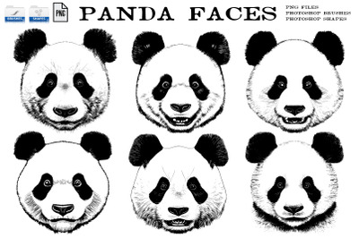 Panda Face Graphics And Brushes Set