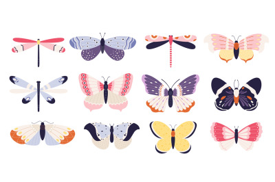 Cute butterflies collection, insects with colored pattern wings