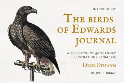 The Birds of Edwards Journal
