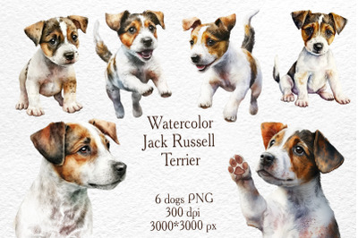 Jack Russell Terrier. Watercolor illustrations