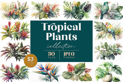 Tropical Plants Collection