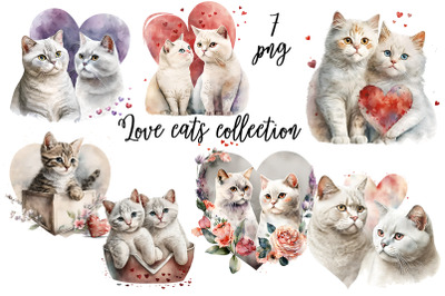 Lovely Cats | Watercolor Illustrations