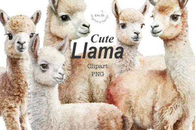 Cute llamas clipart