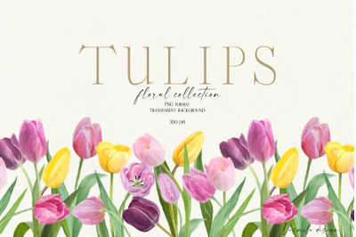 Tulips - hand painted flowers