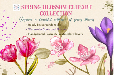 Spring Blossom Watercolor Flower Clipart and Backgrounds