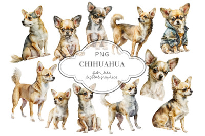 Chihuahua dogs clipart
