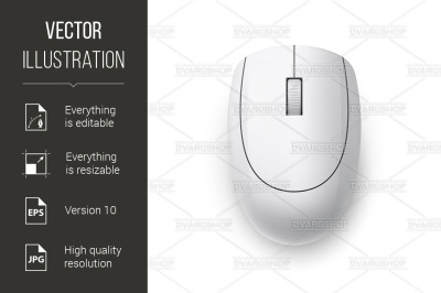 Computer Mouse