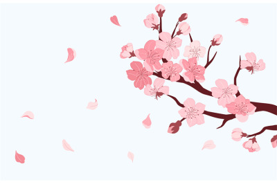 Sakura branch. Cherry blossom with falling petals of pink flowers, Jap