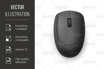 Computer Mouse