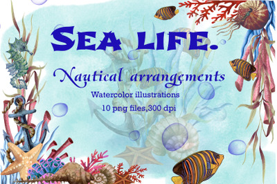 Nautical life, marine arrangements, underwater compositions