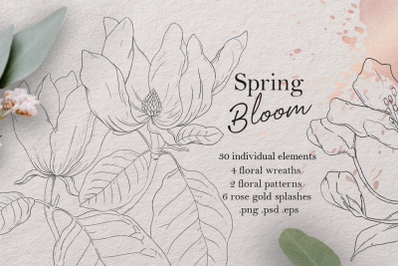 Spring flowers - pencil sketch set