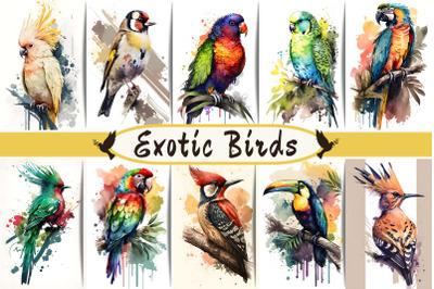 Watercolor Exotic Birds  Wall Art Collection