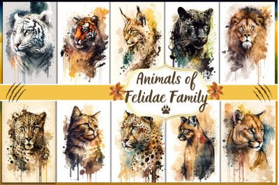 Watercolor Felidae Family Animals Wall Art