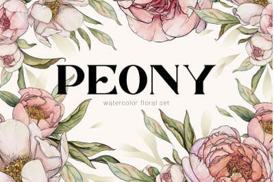 PEONY watercolor floral set