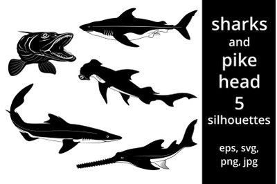 Fish Silhouettes Set SVG. Sharks and Pike Head