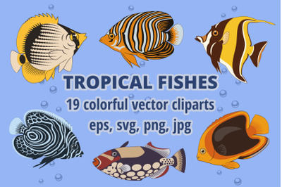 Tropical Fish Cliparts