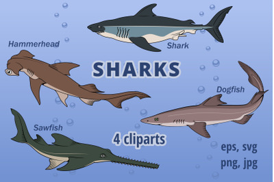 Sharks species cliparts