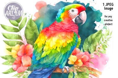Tropical Parrot Painting Image Home Decor Watercolor JPEG