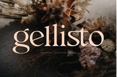 Gellisto Modern Ligature Serif